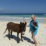 Profile Picture of Alice Rudolph (@quilteralice1) on Instagram