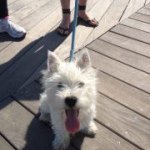 Profile Picture of Andrea Pieri (@and70h20) on Instagram