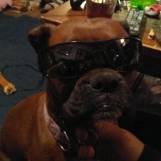 Profile Picture of Austin Thomas (@Austin-Thomas) on Facebook