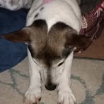 Profile Picture of Darren Eddy (@darren.eddy.1) on Facebook