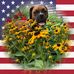 Profile Picture of Janet Freil (@janet.freil.5) on Facebook