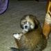 Profile Picture of Carla Waggoner (@carla.waggoner.56) on Facebook