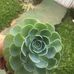 Profile Picture of Guadalupe Ortega (@guadalupe.ortega.12532364) on Facebook