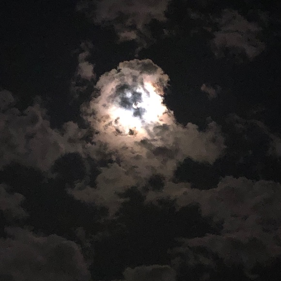 Alvaro Gonzalez - Poshmark Profile Picture of Alvaro Gonzalez (@alvarojg1580) on Poshmark