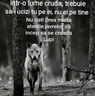 Profile Picture of Marian Andreescu (@marian.andreescu.96) on Facebook