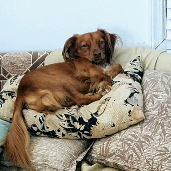 Profile Picture of Jin Lin (@unicornhec) on Poshmark