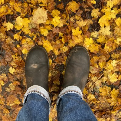 Profile Picture of James Roberts (@nightriverwood) on Twitter