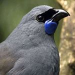 Profile Picture of John (@boy.kingman) on Instagram