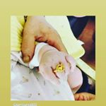 김순자 - Instagram Profile Picture of 김순자 (@gimsunja800) on Instagram