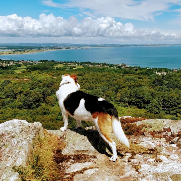 Profile Picture of Garrett Stevens (@panikman) on Poshmark