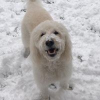 Profile Picture of Fiona Kearns (@fiona-kearns-3) on Quora