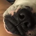 Profile Picture of Annie Walters (@anniewalters) on Instagram