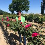 Profile Picture of Barbara Scheller (@barbara_scheller) on Instagram