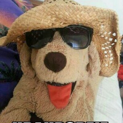 Profile Picture of Mike Kleinschmidt (@kleini209) on Twitter
