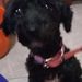 Profile Picture of Ruby Godoy (@animor1412) on Pinterest