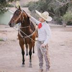 Profile Picture of Luis Luciano (@charro_blanco) on Instagram