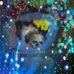 Profile Picture of Ginger Krupp (@Ginger-Krupp) on Facebook