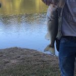 Profile Picture of Bradley Rogers (@bradleyrogers75) on Instagram