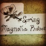 Profile Picture of Rosalie Gonzalez (@springmagnoliaphotography) on Instagram