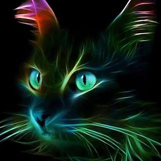 Profile Picture of Herb Freeman (@herb.freeman95) on Facebook