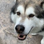 Profile Picture of Bart Halverson (@barthalverson) on Instagram