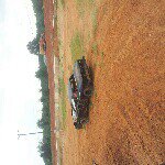 Profile Picture of glenn peacock (@glennmp12345) on Instagram