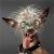 Profile Picture of James Antley (@jamesantley90) on Pinterest