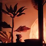 Profile Picture of Beth Bertolini (@beth.bertolininetchert) on Facebook