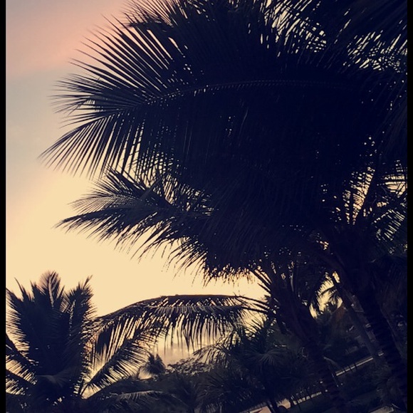 Profile Picture of Thanesha Chaitram (@thaneshaaaaa) on Poshmark