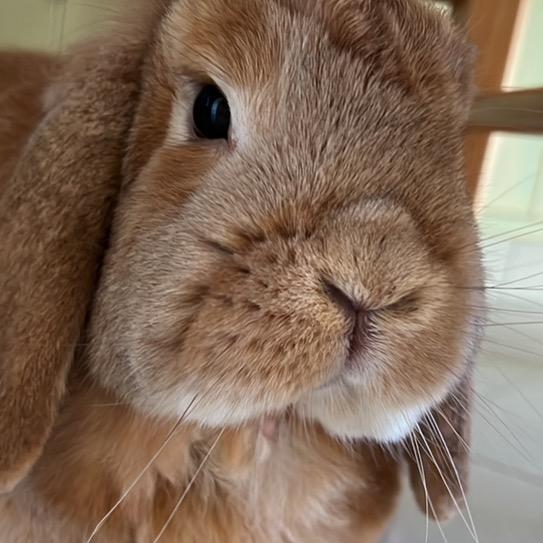 Profile Picture of Anna Ferrante (@annaferrantee) on Tiktok