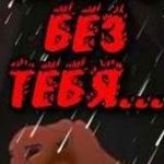 Profile Picture of Alexander Owen (@alexander_owenzw) on Instagram