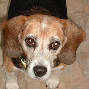 Profile Picture of Paul Brooker (@PaulBrookernb) on Youtube