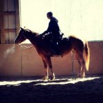 Profile Picture of Doyle & Emily Hostetter (@hostetterhorsemanship) on Instagram