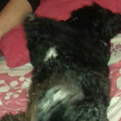 Profile Picture of Alisha Foreman (@alishaforeman9266) on Youtube