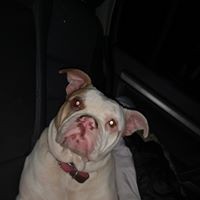 Profile Picture of Craig Streeter (@craig-streeter-2) on Quora