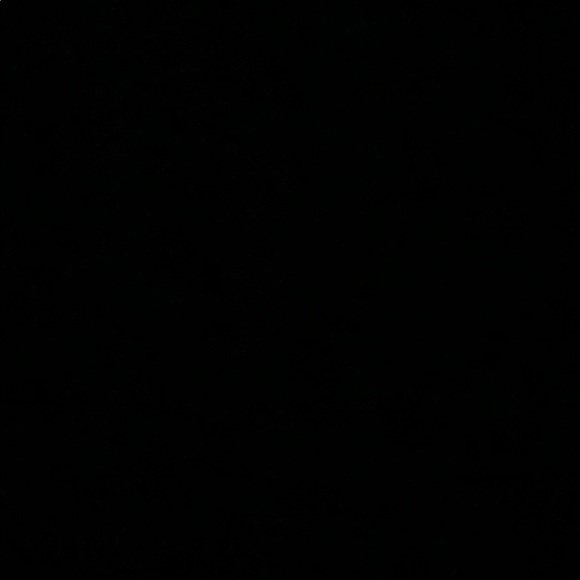 Profile Picture of Victoria Lizama (@v_lizama) on Poshmark