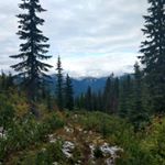 Profile Picture of Cory Heinrich (@spikefork) on Instagram