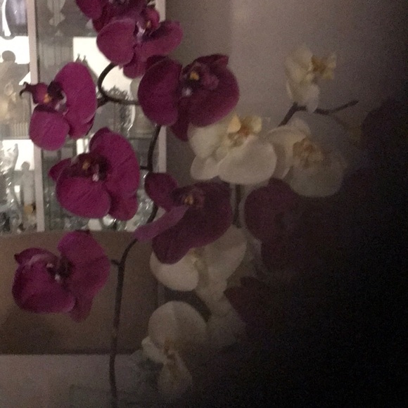 Profile Picture of Maryann Iuliano (@sofiaanh17) on Poshmark