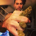 Andy mays - Instagram Profile Picture of Andy mays (@andy_mays_420) on Instagram