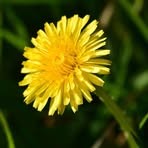 Profile Picture of Juliana Gracas (@Juliana-Gracas) on Facebook