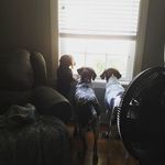 Profile Picture of Gregory Cobb (@sherlockian1972) on Instagram