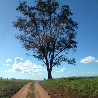 Profile Picture of Fábio Vasconcellos (@favasc) on Twitter