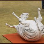 Profile Picture of heidi hahn (@heidihahn873) on Instagram