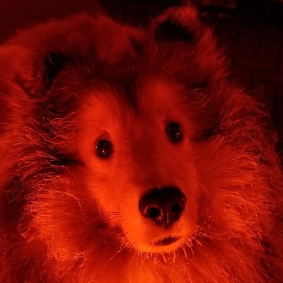 Profile Picture of Mark Totten (@mtotten64) on Twitter