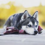 Profile Picture of alyssa rose claypoole (@alyssa_rose_claypoole) on Instagram