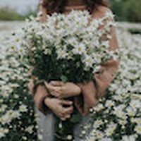 Profile Picture of Hậu Nguyễn (@hậu-nguyễn-110) on Quora