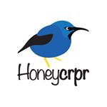 Profile Picture of Sam Farhat (@honeycrpr) on Instagram