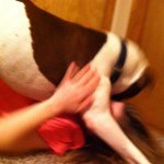 Profile Picture of instagram page for... (@chip.harper.houly.charlie.jax) on Instagram