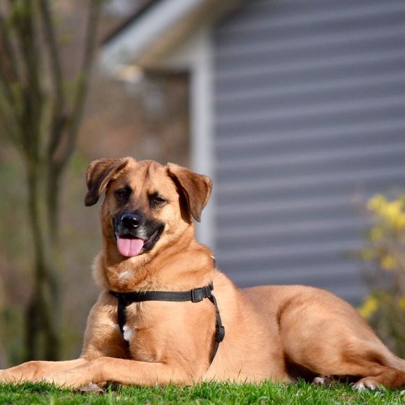 Profile Picture of Wilson Wilson (@wilsonwilson700) on Poshmark