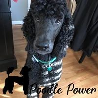 Profile Picture of Derrick John (@derrick-john-7) on Quora